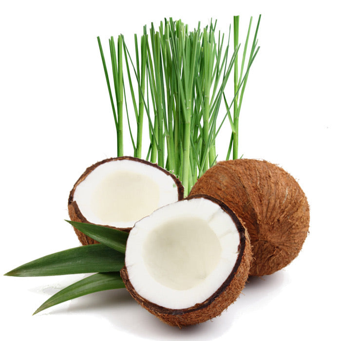 Coconut and Lemongrass (Compare to Coconut Lemongrass) Fragrance Oil