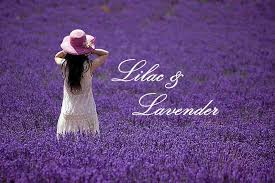 Lilac and lavender Fragrance Oil