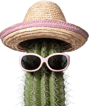 Load image into Gallery viewer, Naked Cactus Fragrance Oil
