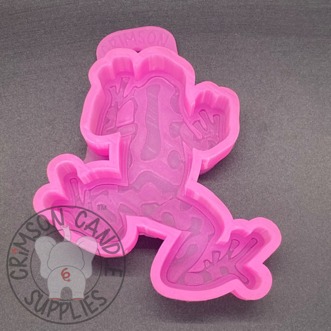 Poison Dart Frog Silicone Mold 4